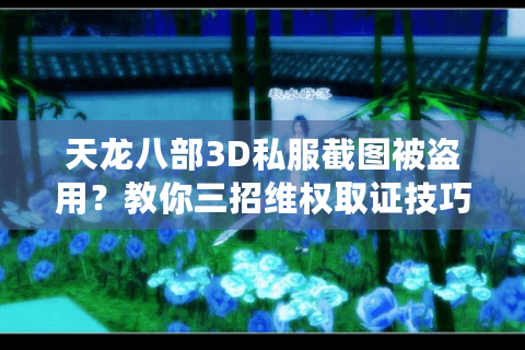 天龙八部3D私服截图被盗用？教你三招维权取证技巧