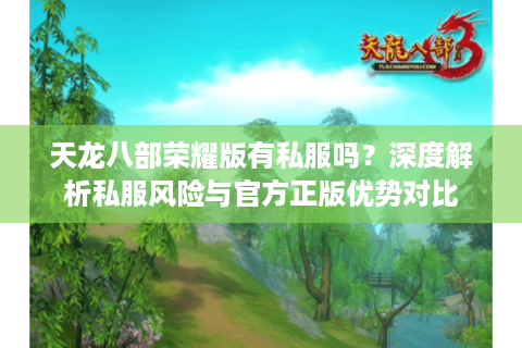 天龙八部荣耀版有私服吗？深度解析私服风险与官方正版优势对比
