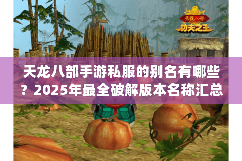 天龙八部手游私服的别名有哪些？2025年最全破解版本名称汇总