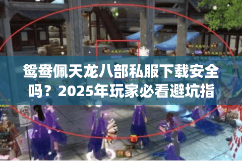 鸳鸯佩天龙八部私服下载安全吗？2025年玩家必看避坑指南