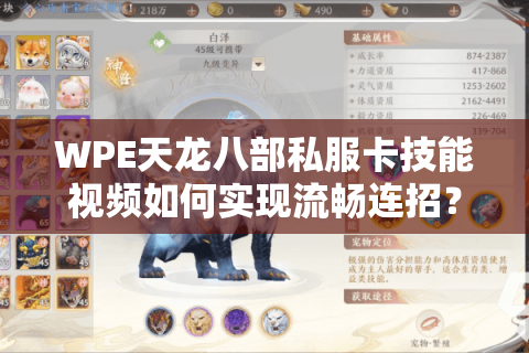 WPE天龙八部私服卡技能视频如何实现流畅连招？2025实战教程全解析
