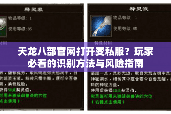 天龙八部官网打开变私服？玩家必看的识别方法与风险指南