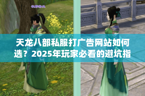 天龙八部私服打广告网站如何选？2025年玩家必看的避坑指南