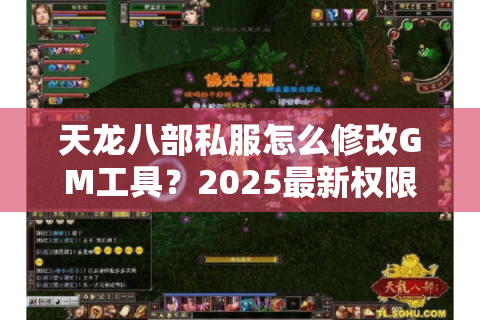 天龙八部私服怎么修改GM工具？2025最新权限配置教程
