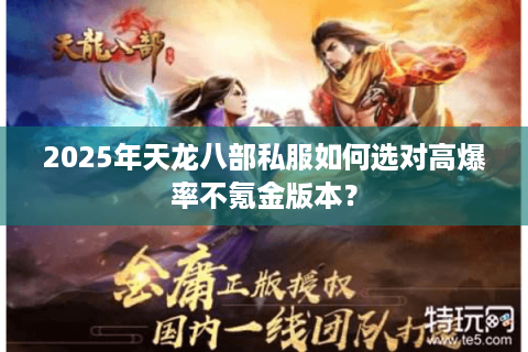 2025年天龙八部私服如何选对高爆率不氪金版本？