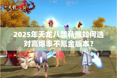 2025年天龙八部私服如何选对高爆率不氪金版本？
