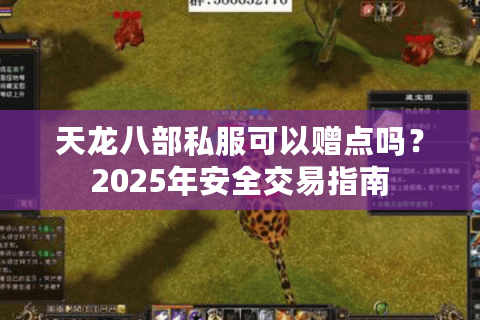 天龙八部私服可以赠点吗？2025年安全交易指南