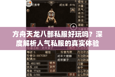 方舟天龙八部私服好玩吗？深度解析人气私服的真实体验