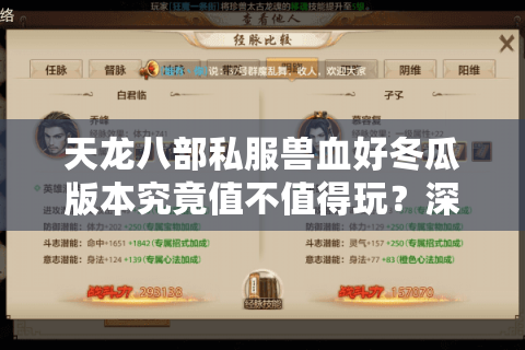 天龙八部私服兽血好冬瓜版本究竟值不值得玩？深度解析玩家真实需求