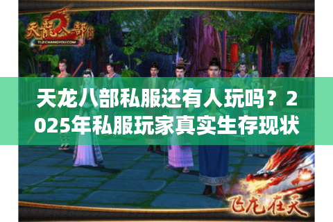 天龙八部私服还有人玩吗？2025年私服玩家真实生存现状揭秘