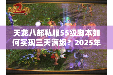 天龙八部私服55级脚本如何实现三天满级？2025年最新速通方案揭秘