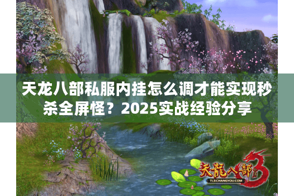 天龙八部私服内挂怎么调才能实现秒杀全屏怪？2025实战经验分享