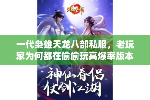 一代枭雄天龙八部私服，老玩家为何都在偷偷玩高爆率版本？