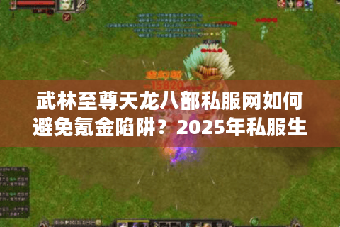 武林至尊天龙八部私服网如何避免氪金陷阱？2025年私服生存指南