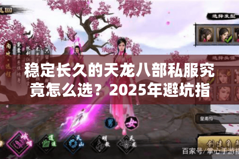 稳定长久的天龙八部私服究竟怎么选？2025年避坑指南来了