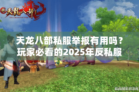 天龙八部私服举报有用吗？玩家必看的2025年反私服指南