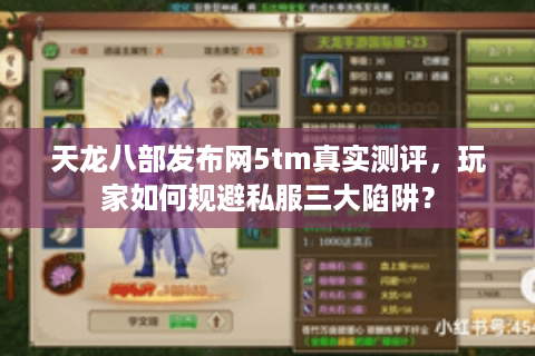 天龙八部发布网5tm真实测评，玩家如何规避私服三大陷阱？