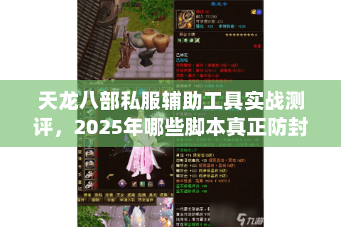 天龙八部私服辅助工具实战测评，2025年哪些脚本真正防封又省时？