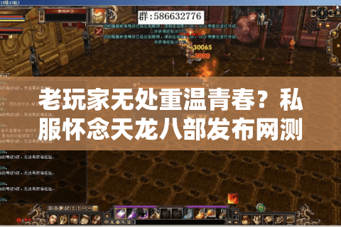 老玩家无处重温青春？私服怀念天龙八部发布网测评报告（2025实测）