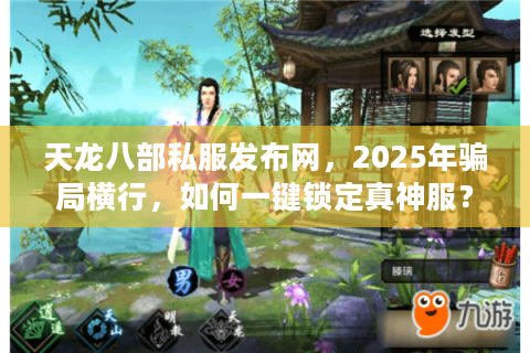 天龙八部私服发布网，2025年骗局横行，如何一键锁定真神服？