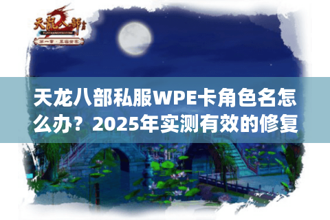 天龙八部私服WPE卡角色名怎么办？2025年实测有效的修复教程