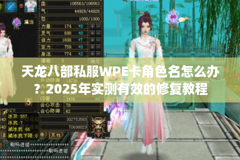 天龙八部私服WPE卡角色名怎么办？2025年实测有效的修复教程