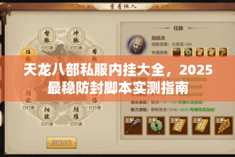 天龙八部私服内挂大全，2025最稳防封脚本实测指南