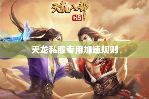 天龙私服专用加速规则