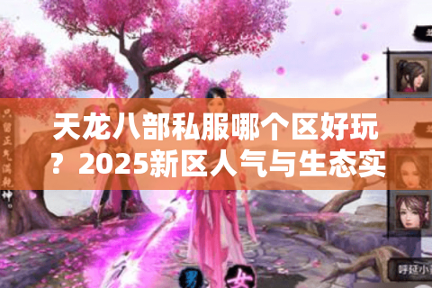 天龙八部私服哪个区好玩？2025新区人气与生态实测对比