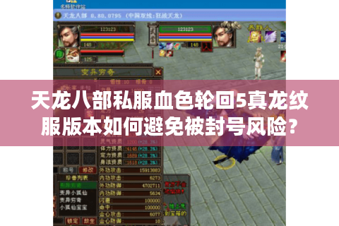 天龙八部私服血色轮回5真龙纹服版本如何避免被封号风险？