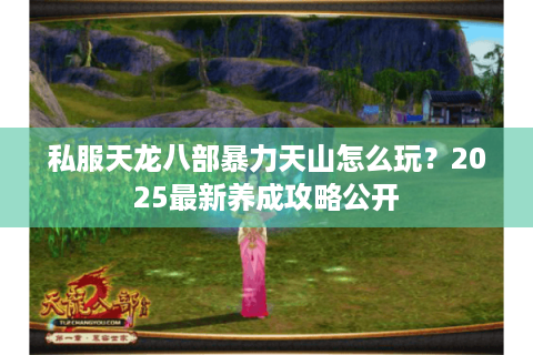 私服天龙八部暴力天山怎么玩？2025最新养成攻略公开