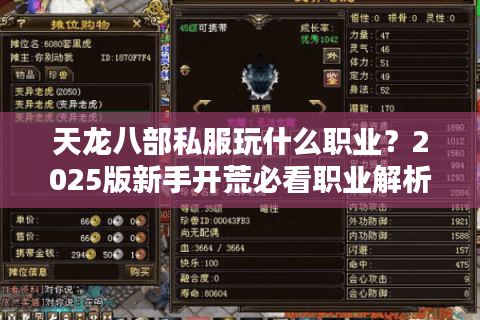 天龙八部私服玩什么职业？2025版新手开荒必看职业解析