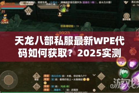 天龙八部私服最新WPE代码如何获取？2025实测防封技术解析