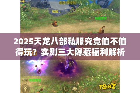 2025天龙八部私服究竟值不值得玩？实测三大隐藏福利解析