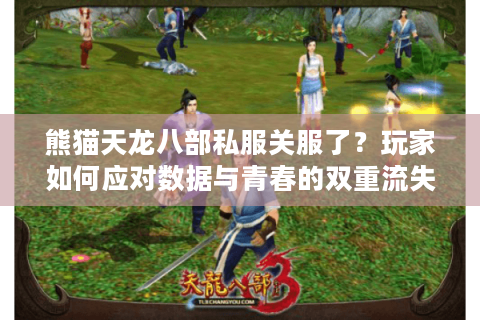 熊猫天龙八部私服关服了？玩家如何应对数据与青春的双重流失