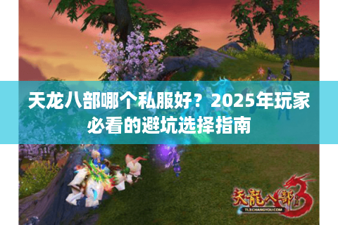 天龙八部哪个私服好？2025年玩家必看的避坑选择指南