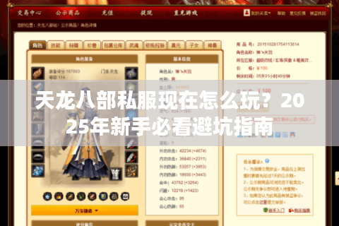 天龙八部私服现在怎么玩？2025年新手必看避坑指南