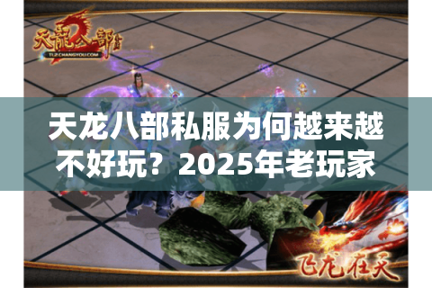天龙八部私服为何越来越不好玩？2025年老玩家真实测评