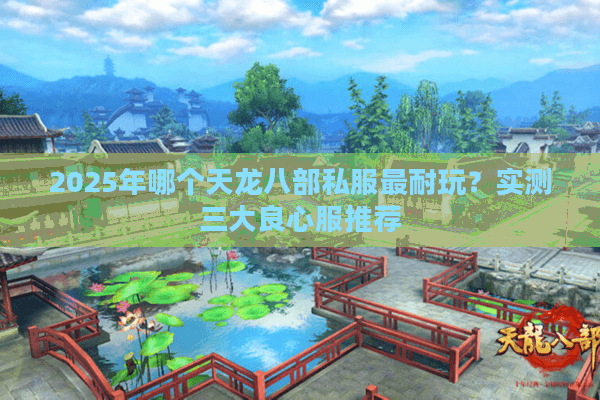 2025年哪个天龙八部私服最耐玩?实测三大良心服推荐 2025年哪个天龙八部私服最耐玩?实测三大良心服推荐