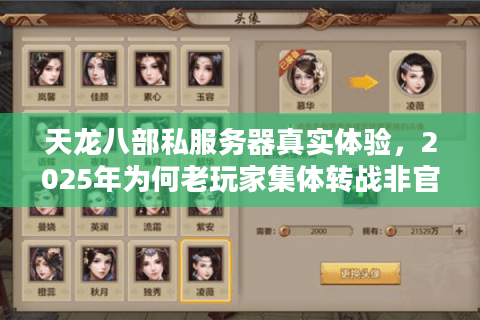 天龙八部私服务器真实体验，2025年为何老玩家集体转战非官服？