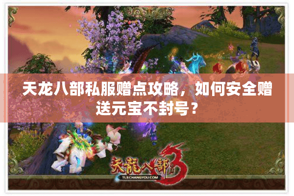 天龙八部私服赠点攻略，如何安全赠送元宝不封号？