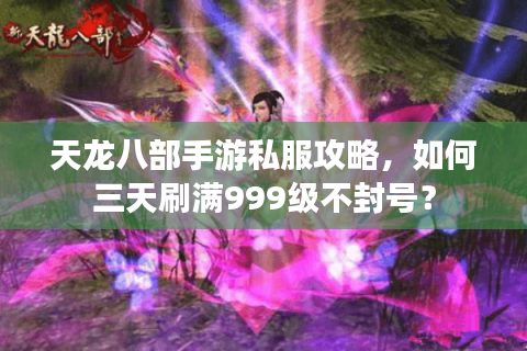 天龙八部手游私服攻略，如何三天刷满999级不封号？