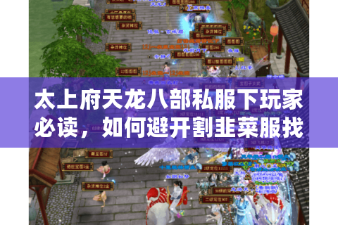太上府天龙八部私服下玩家必读，如何避开割韭菜服找到真福利？