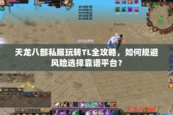 天龙八部私服玩转TL全攻略，如何规避风险选择靠谱平台？