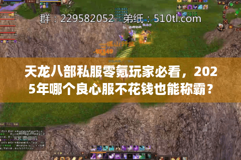 天龙八部私服零氪玩家必看，2025年哪个良心服不花钱也能称霸？