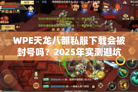 WPE天龙八部私服下载会被封号吗？2025年实测避坑指南