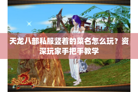 天龙八部私服竖着的菜名怎么玩?资深玩家手把手教学 天龙八部私服竖着的菜名怎么玩?资深玩家手把手教学