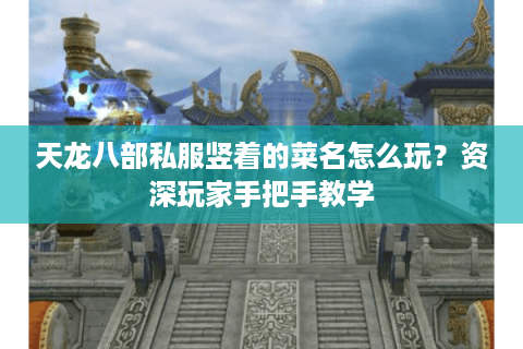 天龙八部私服竖着的菜名怎么玩？资深玩家手把手教学