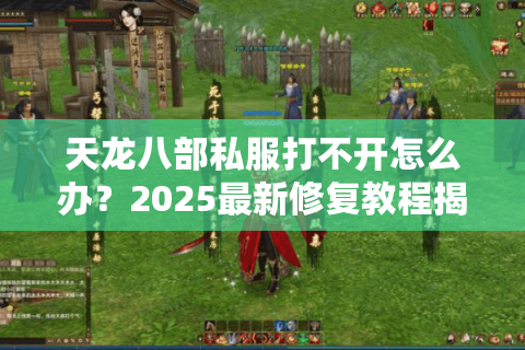 天龙八部私服打不开怎么办？2025最新修复教程揭秘