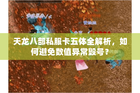 天龙八部私服卡五体全解析，如何避免数值异常毁号？